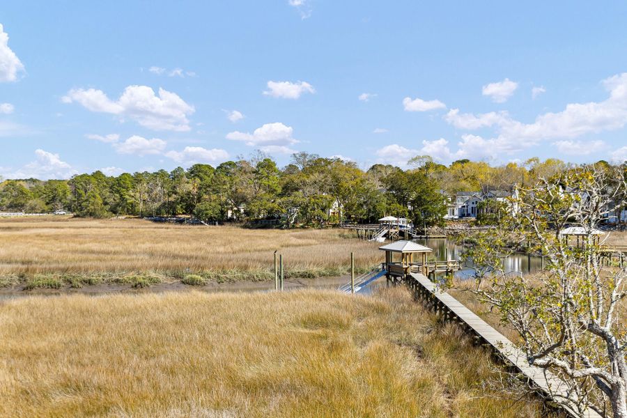 Natural landscape and outdoor views near  in Charleston (Image 117).