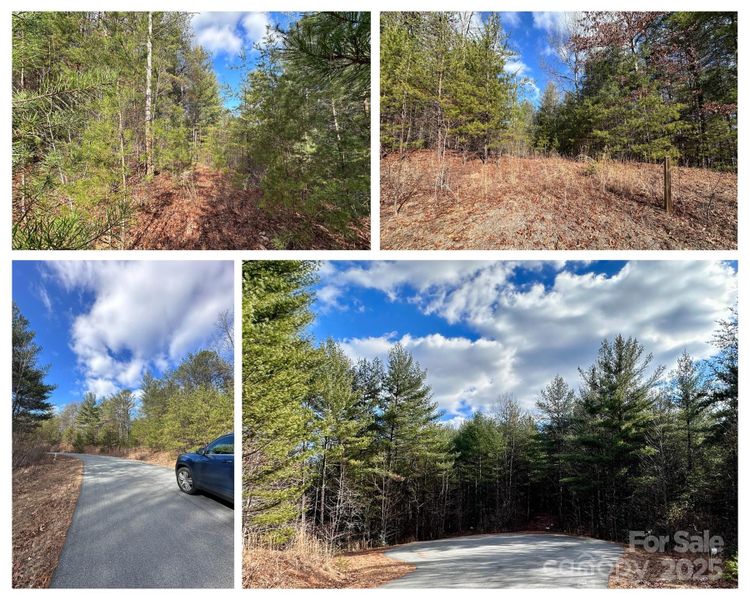 Natural landscape and outdoor views near  in Lenoir (Image 15).