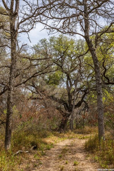 Natural landscape and outdoor views near in Crystal City (Image 25). Natural landscape and outdoor views near in Crystal City (Image 25).