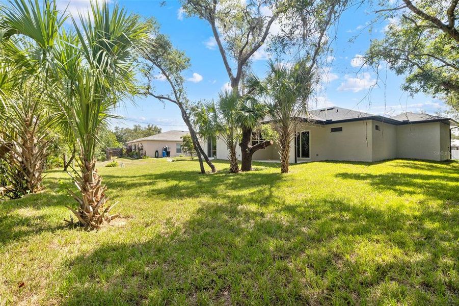 Natural landscape and outdoor views near  in Port Charlotte (Image 50).