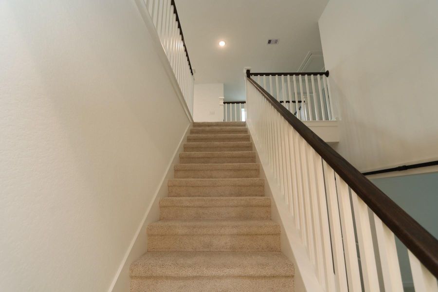 Welcoming staircase Welcoming staircase