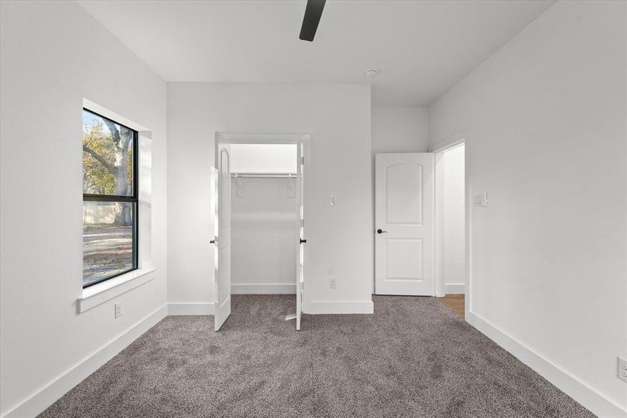 Unfurnished bedroom with a walk in closet, carpet floors, a closet, and ceiling fan