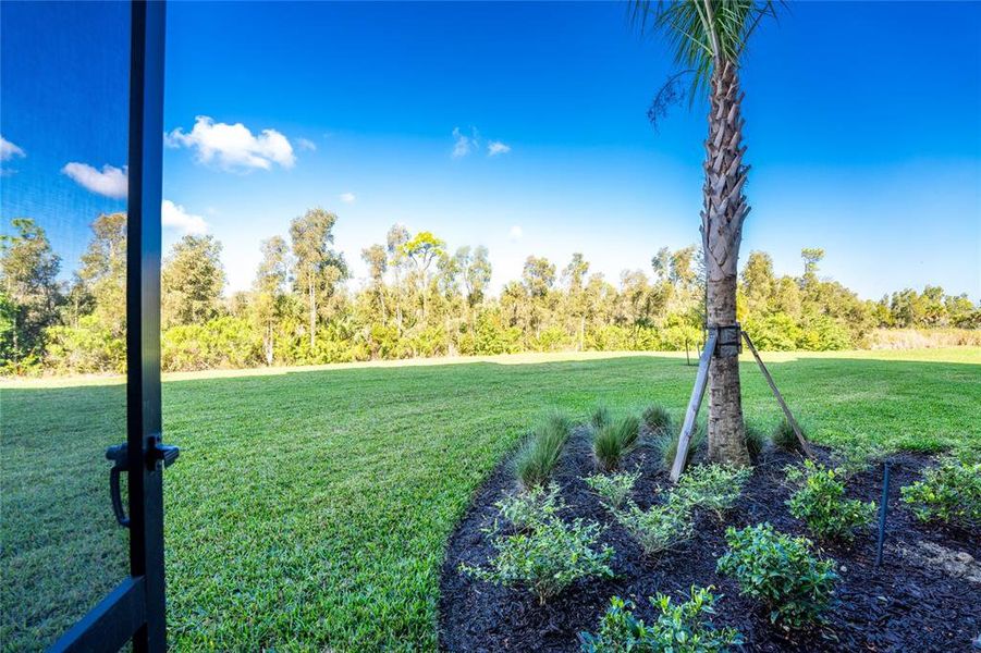 Natural landscape and outdoor views near  in Punta Gorda (Image 36).