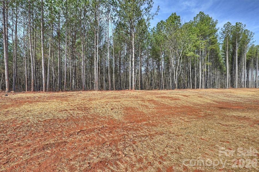 Site preparation for new homesites in , Lincolnton (Image 35).