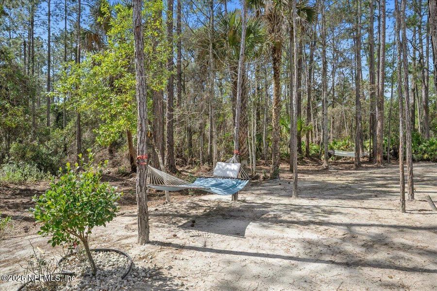 Natural landscape and outdoor views near  in Palatka (Image 39).