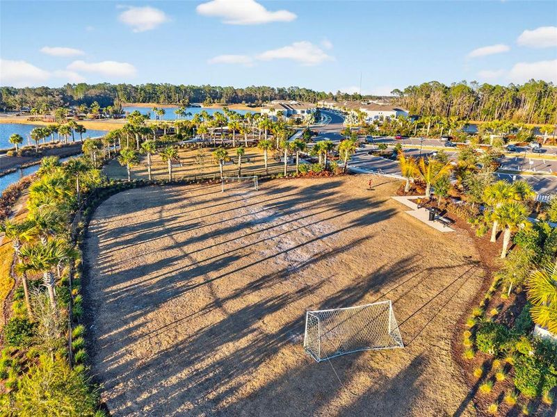 Site preparation for new homesites in , Wesley Chapel (Image 48).