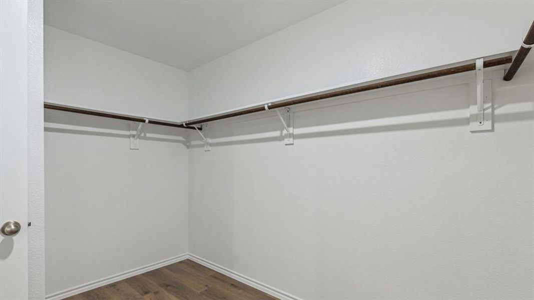 Walk in closet featuring dark wood finished floors