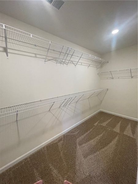 Spacious, unfurnished interior of a new home in Springwood Grove, Central (Image 26).