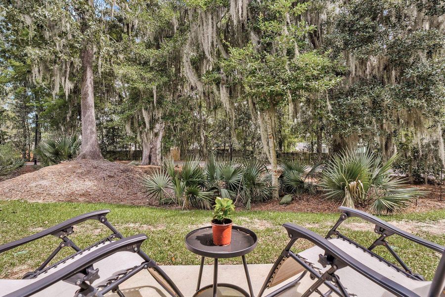 Natural landscape and outdoor views near  in North Charleston (Image 36).