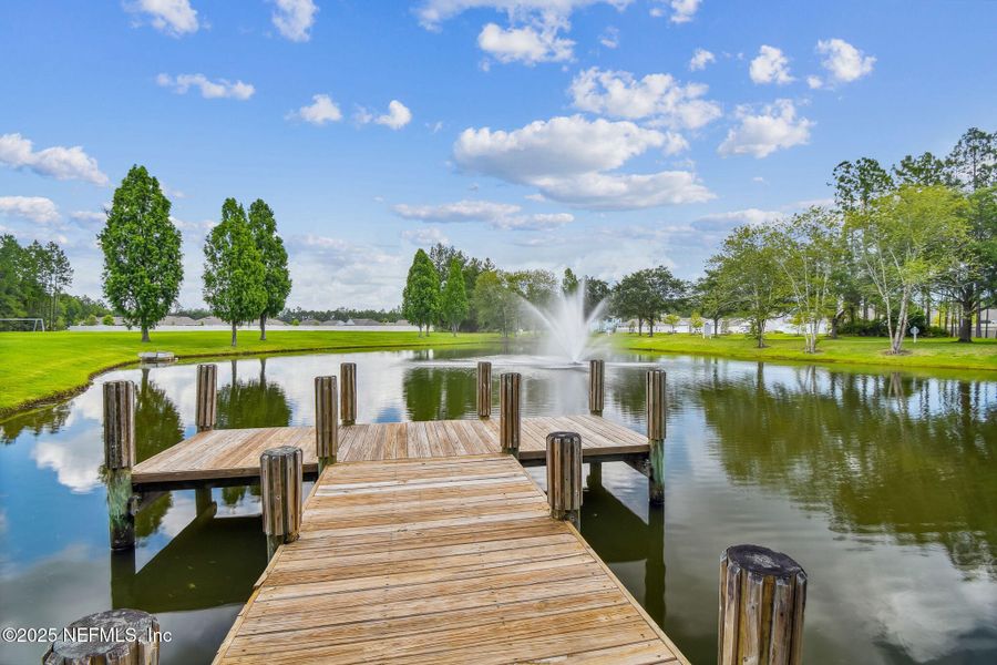 Natural landscape and outdoor views near Amelia Walk in Fernandina Beach (Image 46).