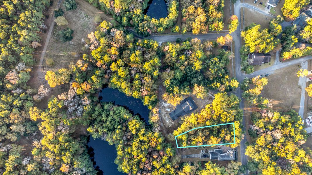 Natural landscape and outdoor views near  in Georgetown (Image 9).