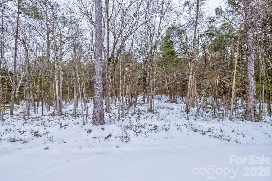 Natural landscape and outdoor views near  in Chester (Image 37).