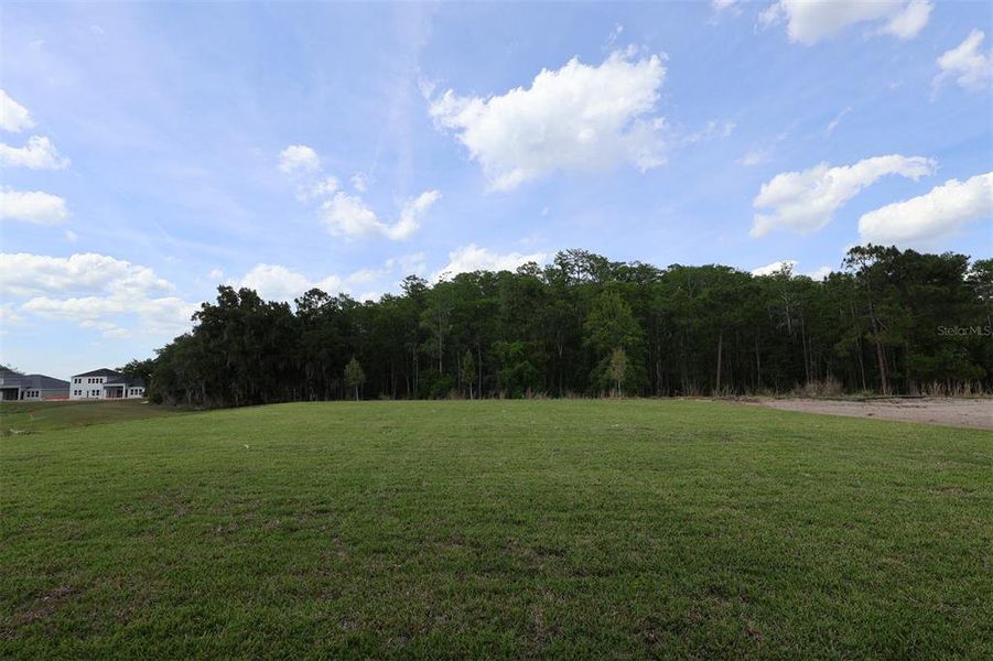 Natural landscape and outdoor views near Solace at Corner Lake in Orlando (Image 23). Natural landscape and outdoor views near Solace at Corner Lake in Orlando (Image 23).