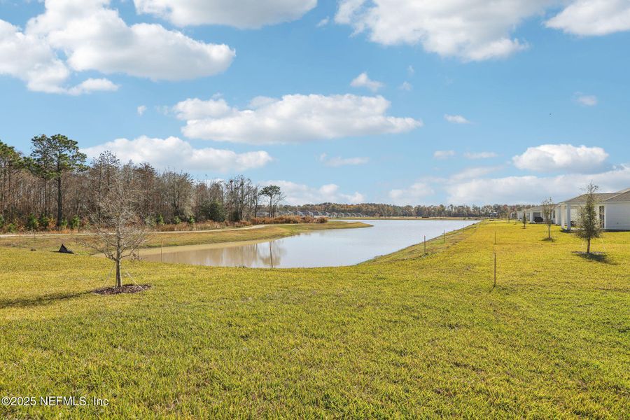 Natural landscape and outdoor views near Cypress Meadows - Signature Series in Jacksonville (Image 32).