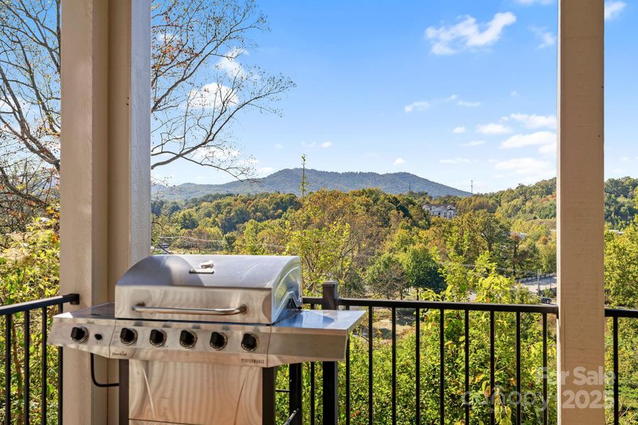Exterior details and patio area of a home in , Asheville (Image 23). Exterior details and patio area of a home in , Asheville (Image 23).