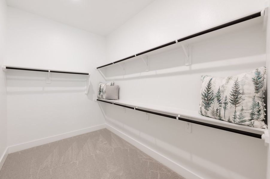 Image 79 representing the Meritage by Tri Pointe Homes in Legacy Grove, Montgomery, TX.