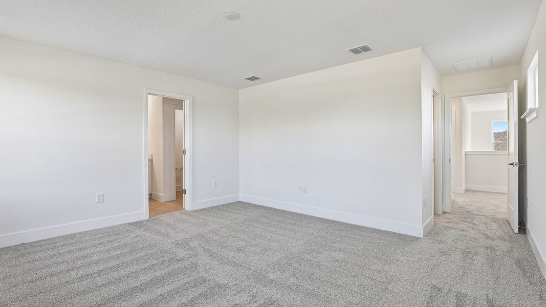 The Primary Suite