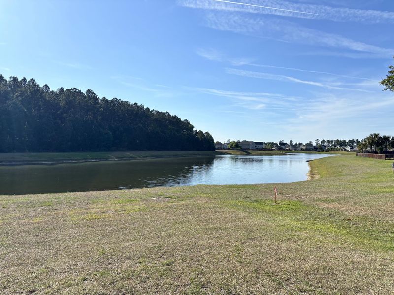 Natural landscape and outdoor views near  in Summerville (Image 9).