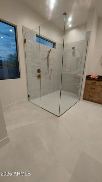 Primary Shower