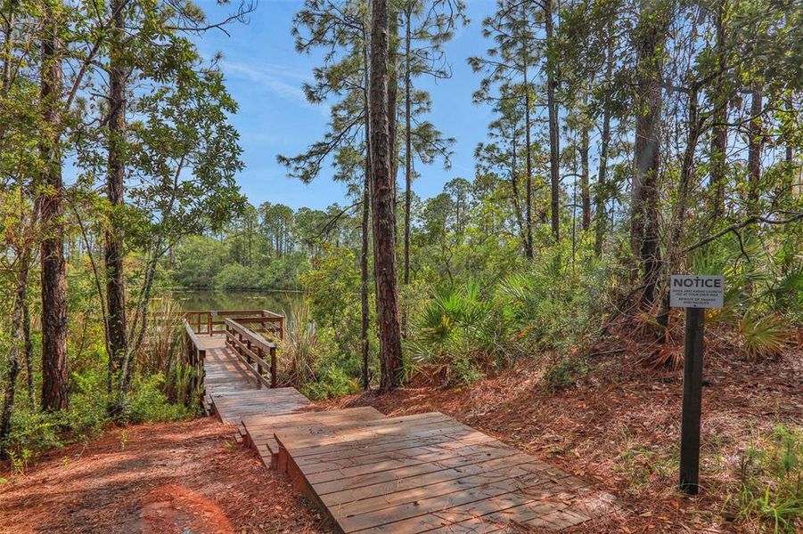 Natural landscape and outdoor views near in Palm Coast (Image 32). Natural landscape and outdoor views near in Palm Coast (Image 32).