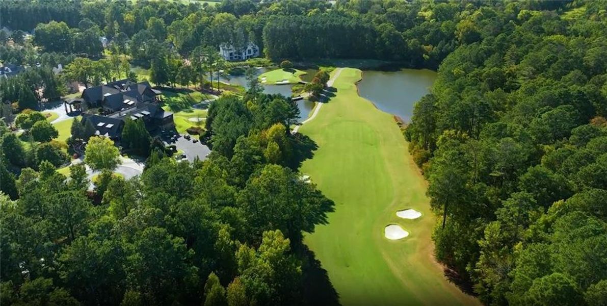 Natural landscape and outdoor views near  in Suwanee (Image 15).