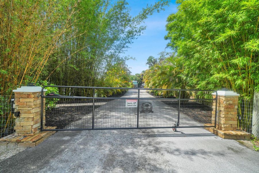 Front electric gate Front electric gate