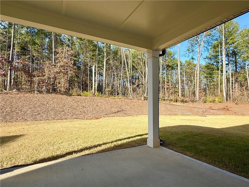 Exterior details and patio area of a home in Vines at Mill Creek - Legacy Series, Braselton (Image 3).