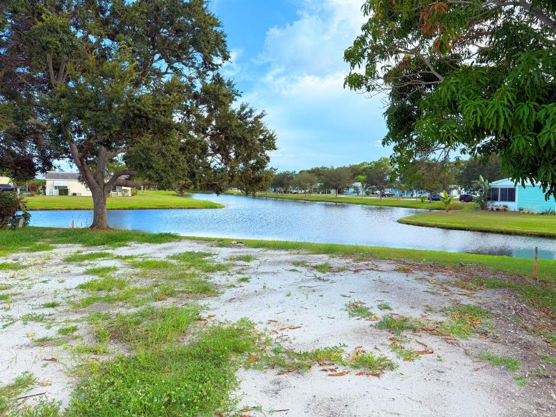 Future Site -3