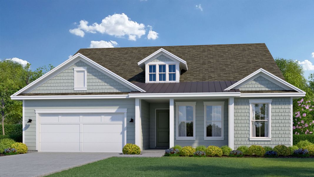 Maple II B Hardi Maple II B Hardi