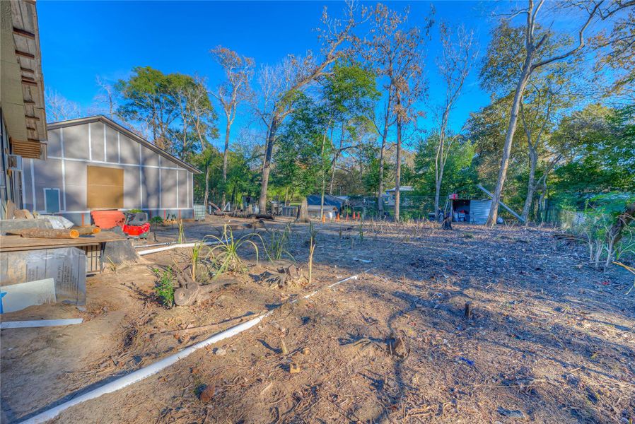 The property is full of life — great soil, space for gardening, and existing farm animals