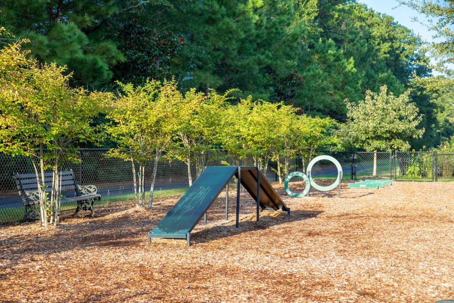 Community amenities in Carnes Crossroads, Summerville (Image 21).