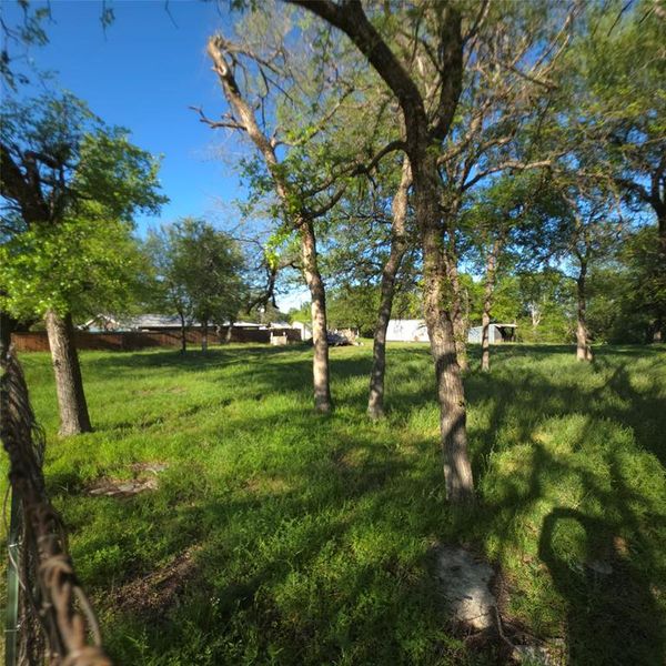 Natural landscape and outdoor views near  in Palo Pinto (Image 14).