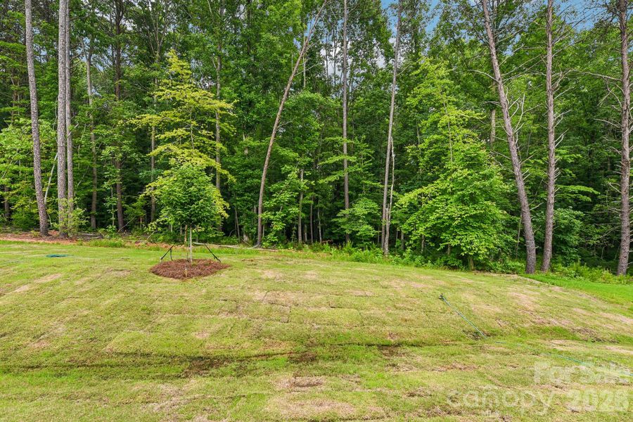 Natural landscape and outdoor views near Falls Cove in Troutman (Image 40). Natural landscape and outdoor views near Falls Cove in Troutman (Image 40).