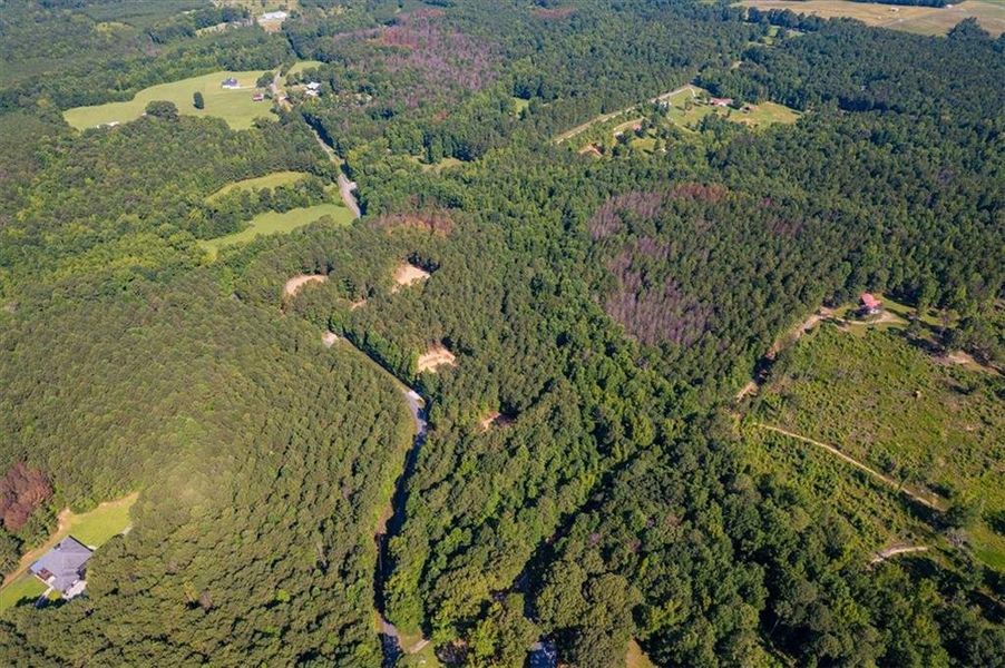 Natural landscape and outdoor views near  in Rockmart (Image 35).