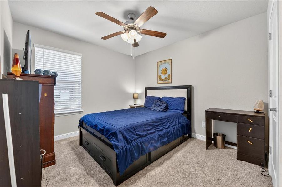 Carpeted room featuring a ceiling fan with integrated lighting, a window with blinds, and light-toned walls