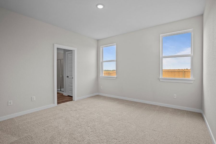 A room with a carpet and windows.