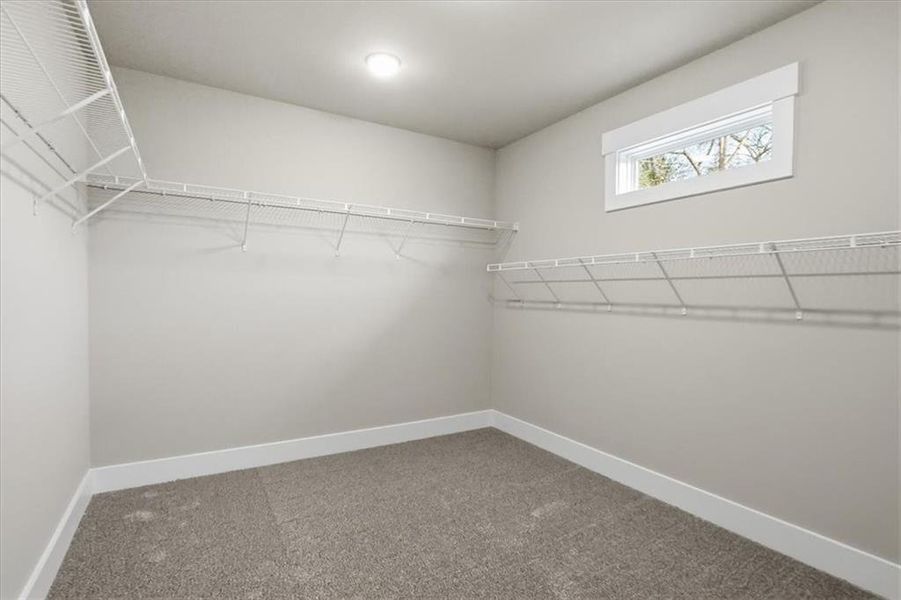 Spacious, unfurnished interior of a new home in , Statham (Image 75).