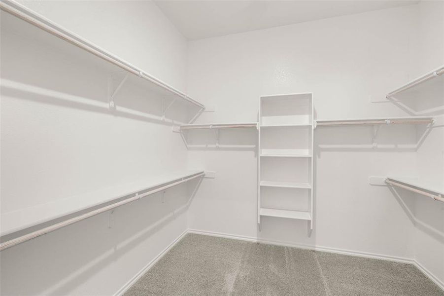 4537 Aralia- Primary SUite-6 4537 Aralia- Primary SUite-6