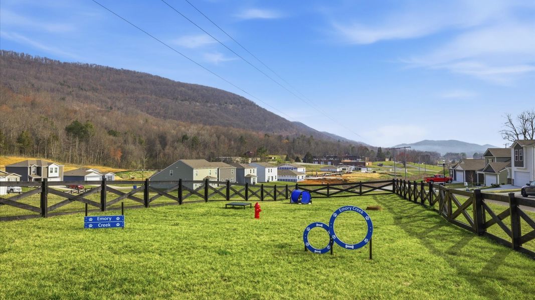 Community amenities in Emory Creek, Harriman (Image 34).