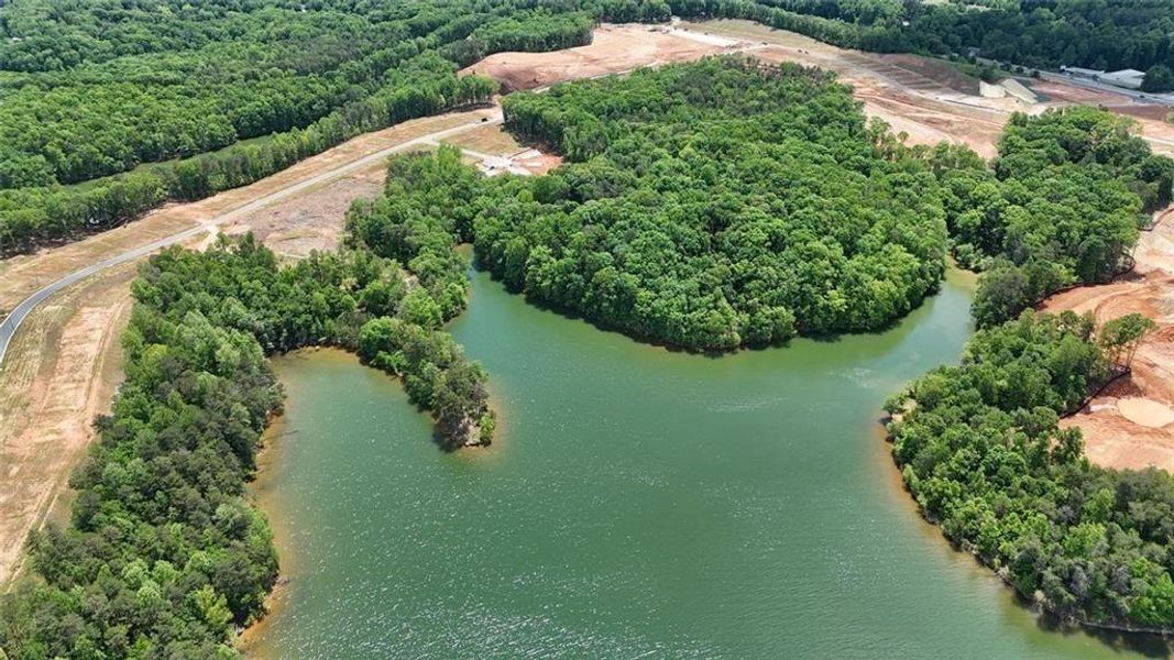 Natural landscape and outdoor views near  in Gainesville (Image 22).