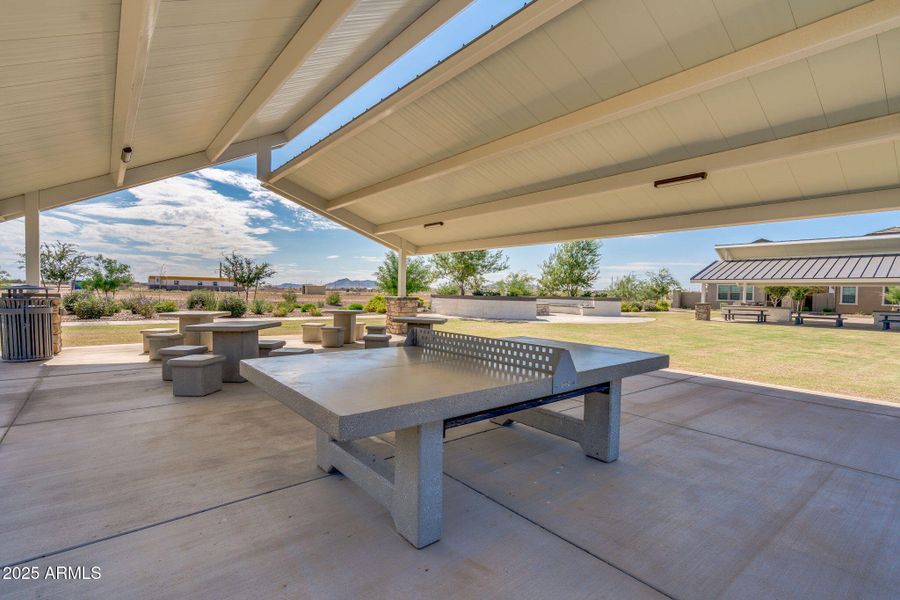 Community Area Community Area