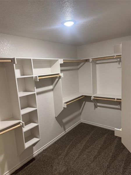 Walk in closet with dark colored carpet