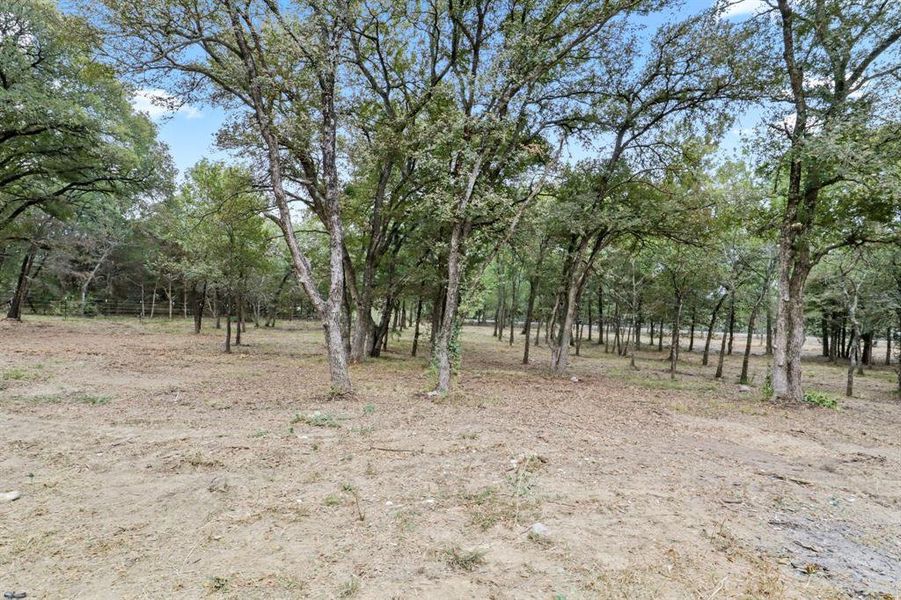 Natural landscape and outdoor views near in Purdon (Image 22). Natural landscape and outdoor views near in Purdon (Image 22).