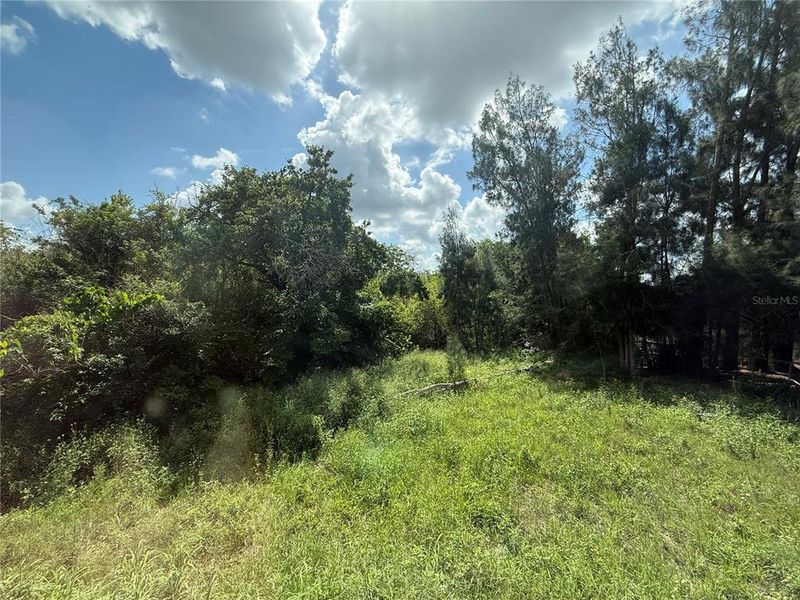 Natural landscape and outdoor views near in Lakeland (Image 31). Natural landscape and outdoor views near in Lakeland (Image 31).