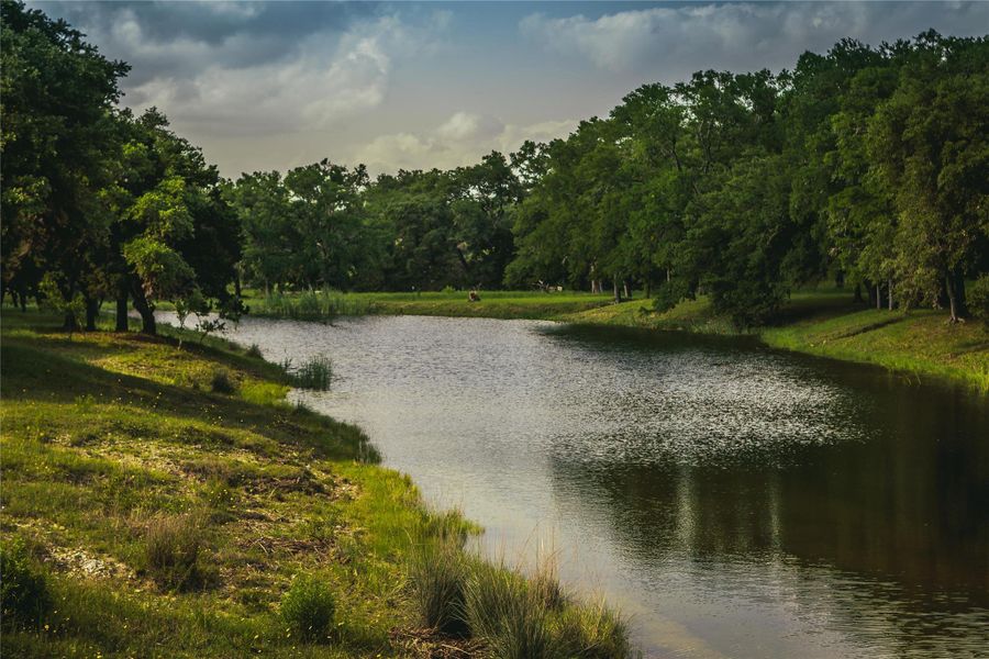 Natural landscape and outdoor views near  in Johnson City (Image 21).