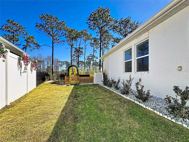 Exterior details and patio area of a home in Bridgewalk, St. Cloud (Image 28).