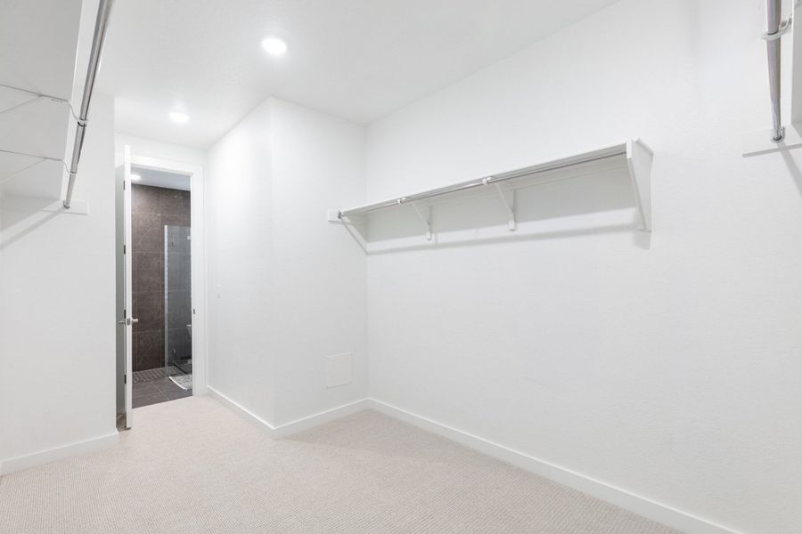 Primary Closet