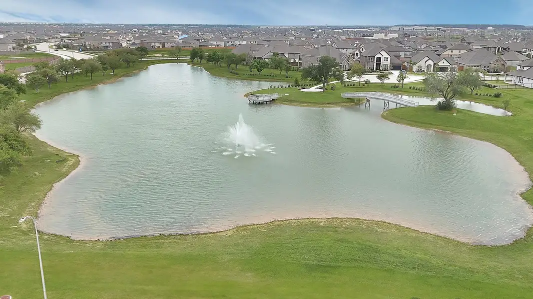 View of the neighborhood pond.