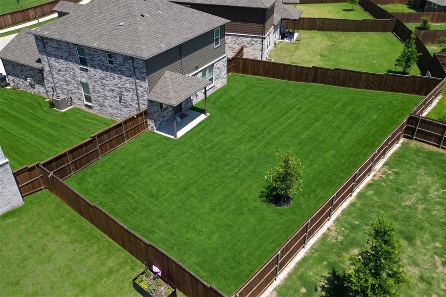 Expansive fenced backyard featuring a manicured lawn and a young tree