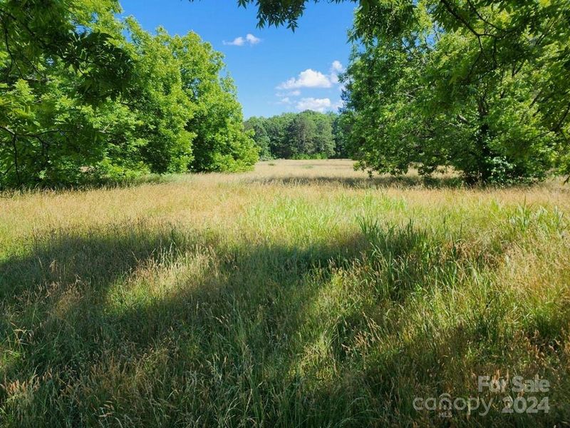 View of Back Yard